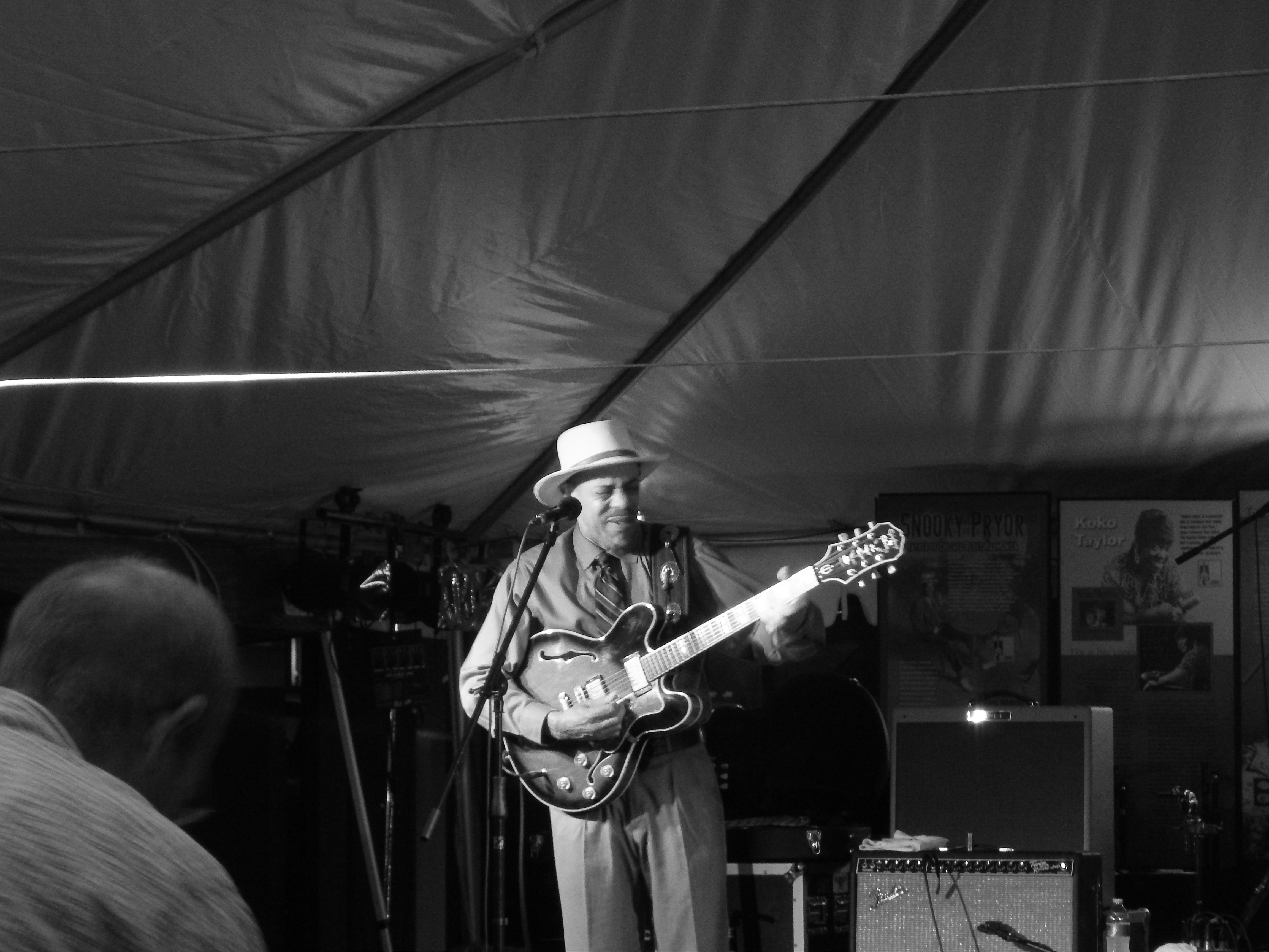 2013 Mississippi Valley Blues Fest